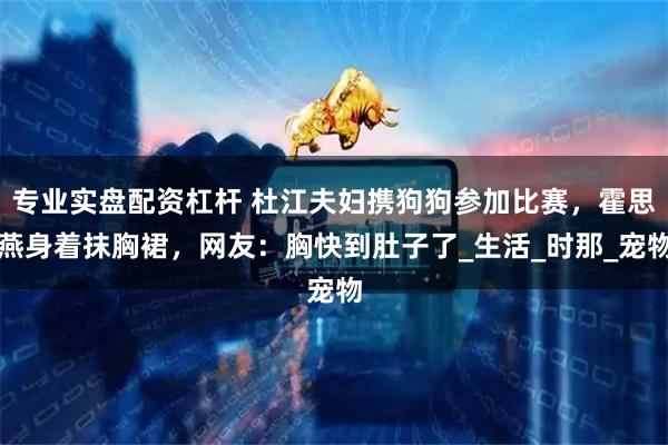 专业实盘配资杠杆 杜江夫妇携狗狗参加比赛，霍思燕身着抹胸裙，网友：胸快到肚子了_生活_时那_宠物